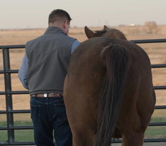 Reminder: Don’t Show Your Candidate Next to a Horse’s Ass!